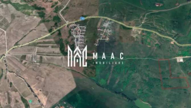 Teren 6,75 ha | Panoramă și Acces Excelent | Dealul Daii