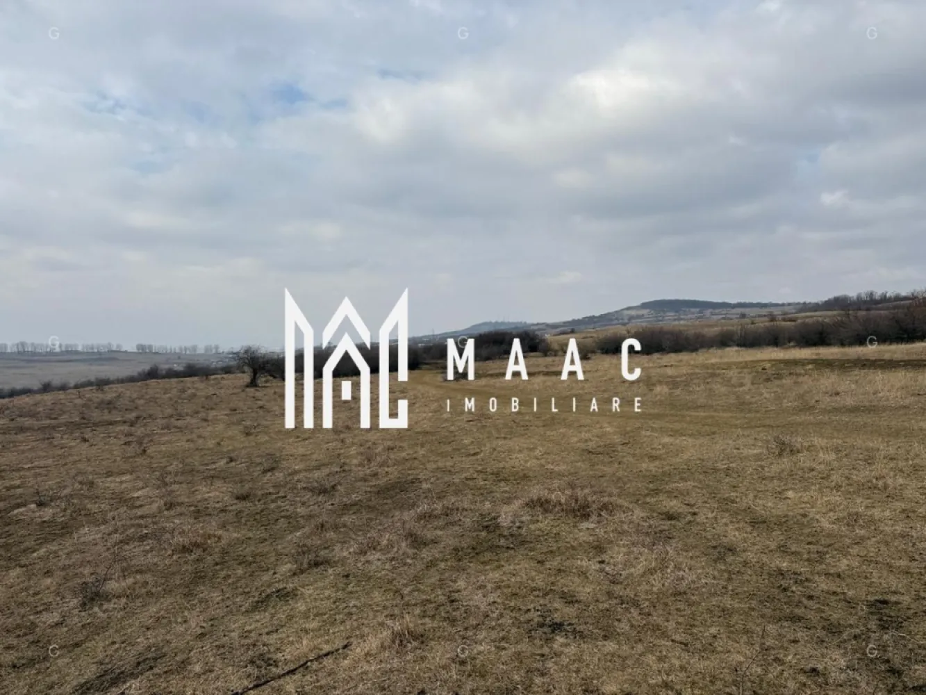 Teren 6,75 ha | Panoramă și Acces Excelent | Dealul Daii