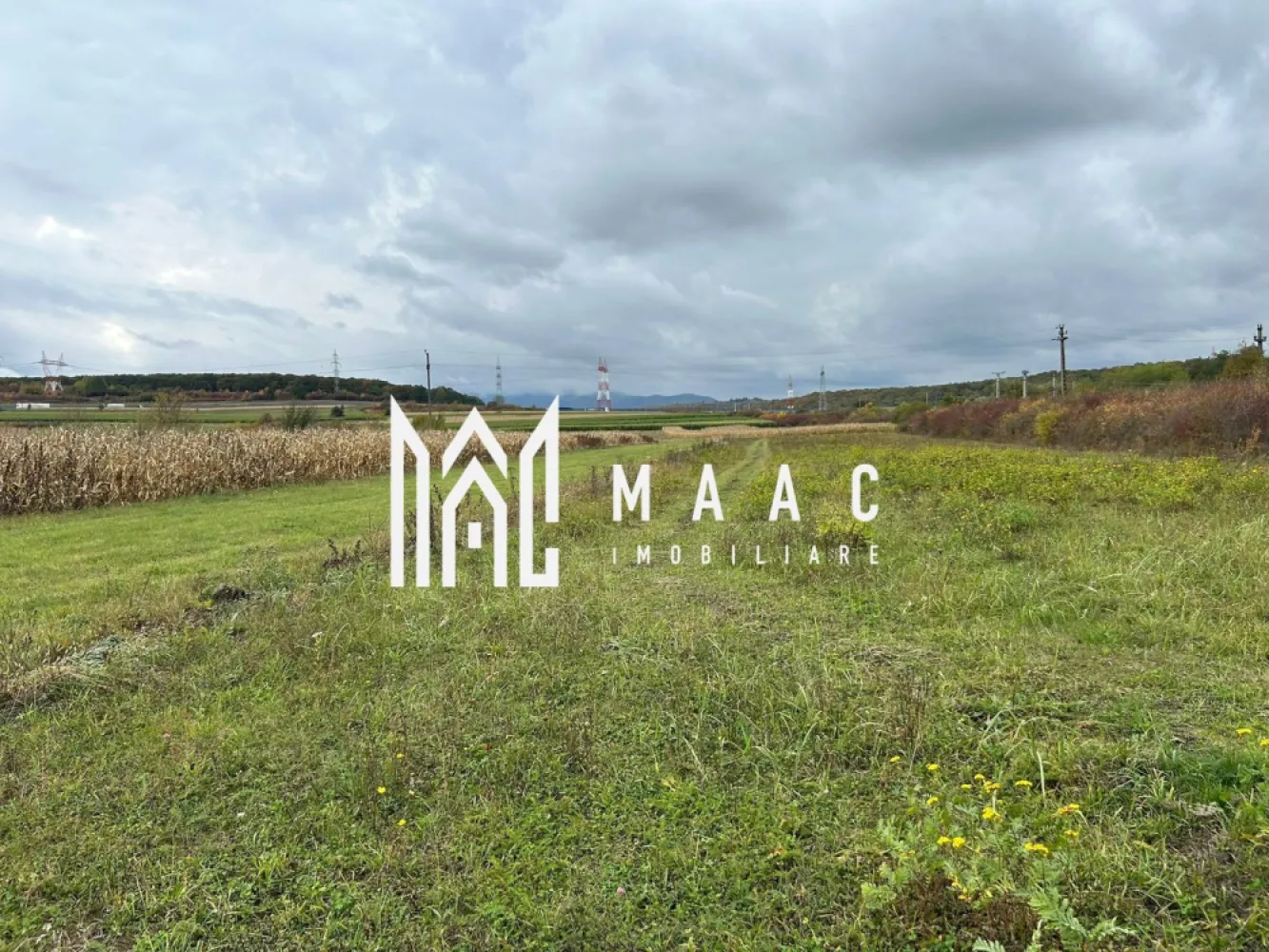 Teren | 3700 mp | Deschidere la DN | Intrare Vestem – Sibiu - Maac Imobiliare prezintă un teren extravilan situat la intrarea în localitatea Veștem, jud. Sibiu, cu deschidere directă la Drumul Național.

Caracteristici principale:

Suprafață totală: 3.700 mp

Deschidere: 24 ml la DN

Preț: 19 €/mp – negociabil

Categorie de folosință: extravilan

Terenul este amplasat într-o zonă cu acces facil și vizibilitate excelentă, fiind ideal pentru depozite, hale industriale, activități agricole sau parcare auto.

 Pentru mai multe detalii, vă rugăm să menționați telefonic ID-ul anunțului: CP2884453