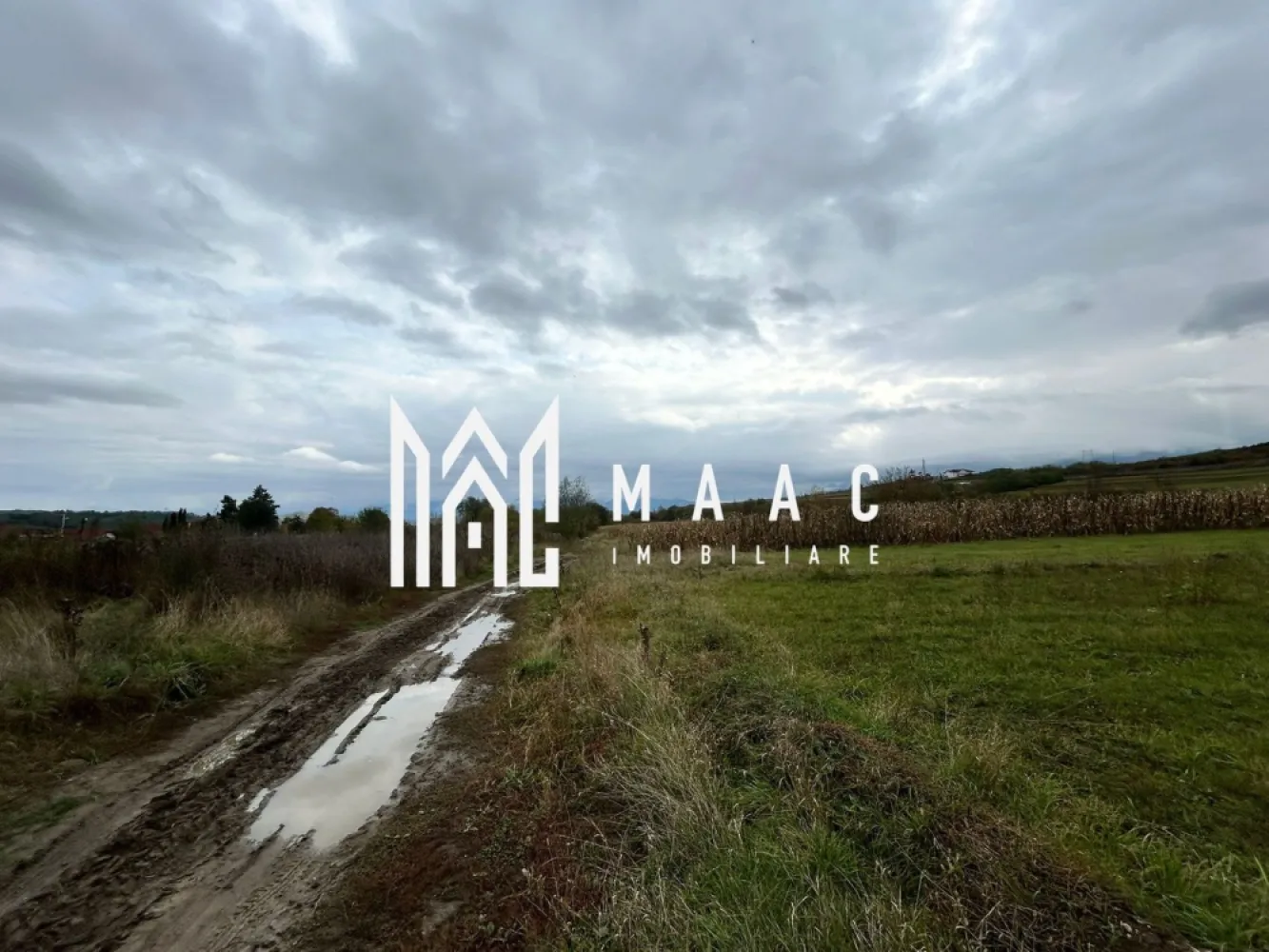 Teren | 3700 mp | Deschidere la DN | Intrare Vestem – Sibiu - Maac Imobiliare prezintă un teren extravilan situat la intrarea în localitatea Veștem, jud. Sibiu, cu deschidere directă la Drumul Național.

Caracteristici principale:

Suprafață totală: 3.700 mp

Deschidere: 24 ml la DN

Preț: 19 €/mp – negociabil

Categorie de folosință: extravilan

Terenul este amplasat într-o zonă cu acces facil și vizibilitate excelentă, fiind ideal pentru depozite, hale industriale, activități agricole sau parcare auto.

 Pentru mai multe detalii, vă rugăm să menționați telefonic ID-ul anunțului: CP2884453