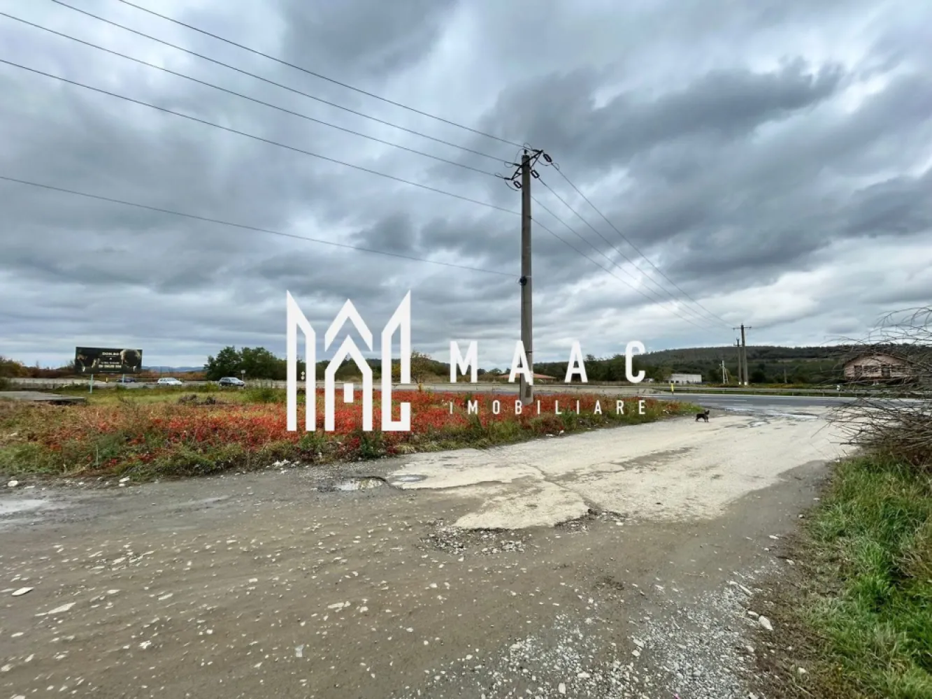 Teren | 3700 mp | Deschidere la DN | Intrare Vestem – Sibiu - Maac Imobiliare prezintă un teren extravilan situat la intrarea în localitatea Veștem, jud. Sibiu, cu deschidere directă la Drumul Național.

Caracteristici principale:

Suprafață totală: 3.700 mp

Deschidere: 24 ml la DN

Preț: 19 €/mp – negociabil

Categorie de folosință: extravilan

Terenul este amplasat într-o zonă cu acces facil și vizibilitate excelentă, fiind ideal pentru depozite, hale industriale, activități agricole sau parcare auto.

 Pentru mai multe detalii, vă rugăm să menționați telefonic ID-ul anunțului: CP2884453