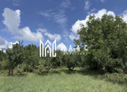 Casă de renovat I teren 1400 mp I Livadă I Central Săcel