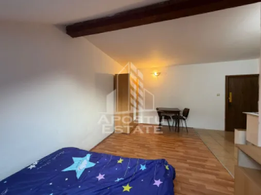 Apartament cu 1 camera, de inchiriat, zona Aradului, Timisoara