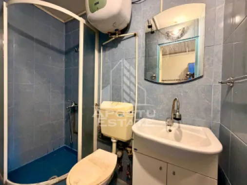 Apartament cu 1 camera de inchiriat, zona Aradului, Timisoara