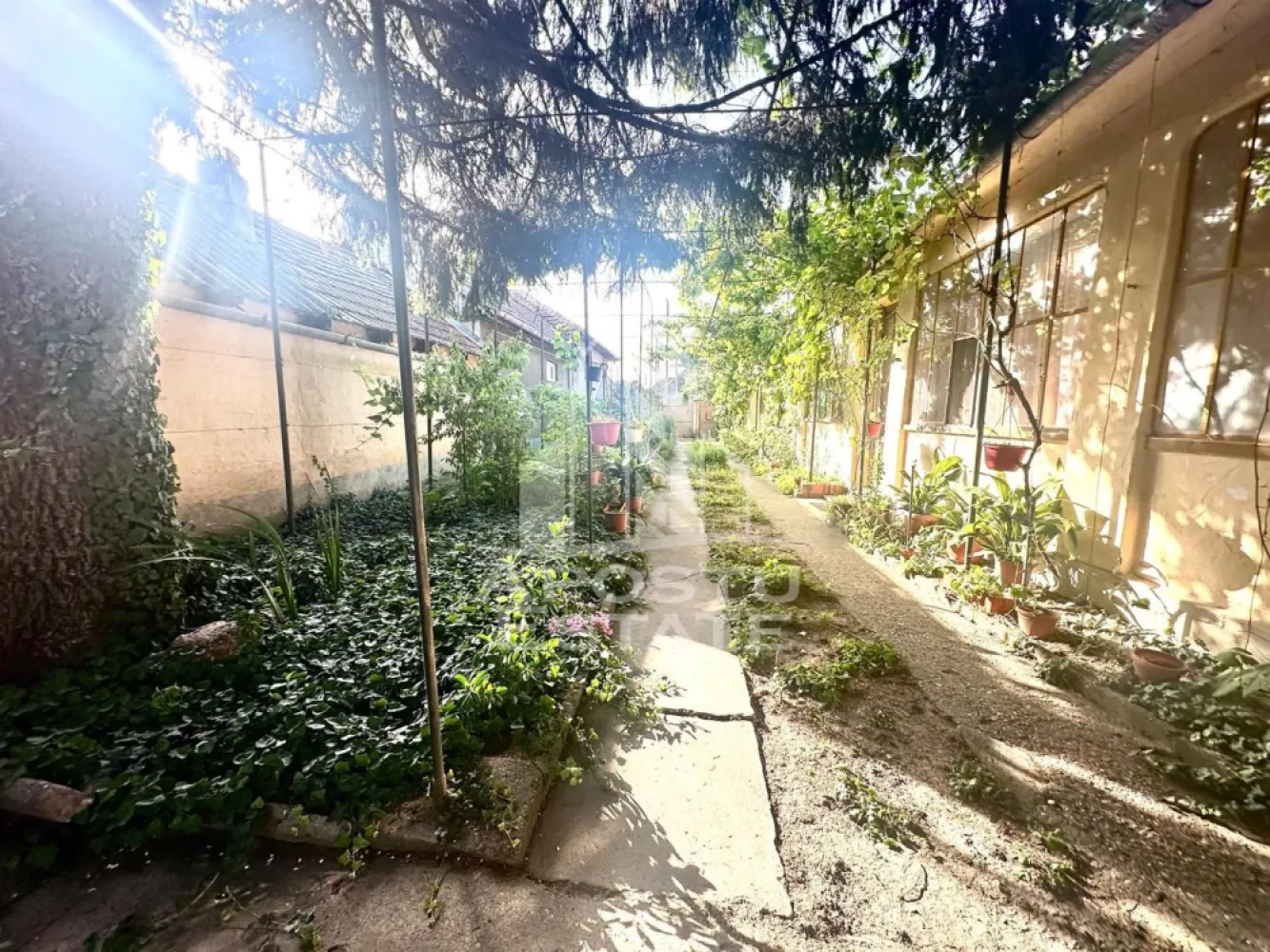 Casa de vanzare in Zimandu Nou - APOSTU ESTATE va propune spre vanzare casa in Zimandu Nou, la doar 13 km de Arad, situata intr-o zona linistita, cu acces facil si strazi asfaltate si iluminate.

Proprietatea dispune de un teren generos de 950 mp si o suprafata construita de 244 mp, casa fiind construita in anul 1932. Locuinta este compartimentata practic si ofera:

4 camere spatioase
1 bucatarie
1 baie
camara
hol lung
2 intrari din curte

Casa este construita din pamant batut, cu acoperis din tigla, fiind racordata la toate utilitatile necesare: gaz, curent, apa si boiler pentru apa calda.

Curtea este ampla si bine organizata, avand gradina de flori, garaj, acces auto in curte si spatiu ideal pentru cultivarea legumelor sau amenajarea unei livezi.

Pozitionarea este un mare avantaj, avand in apropiere, la doar 5 minute de mers pe jos:

supermarket
Biserica Catolica
Primaria
gradinita
scoala

O proprietate potrivita pentru o familie care isi doreste liniste, spatiu generos si acces rapid catre oras.

Pentru mai multe detalii sau pentru programarea unei vizionari, echipa Apostu Estate va sta cu profesionalism si promptitudine la dispozitie dumneavoastra.
CP3121677