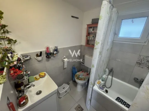 Casa individuala in Arpasu de Sus, teren mare, partial renovata