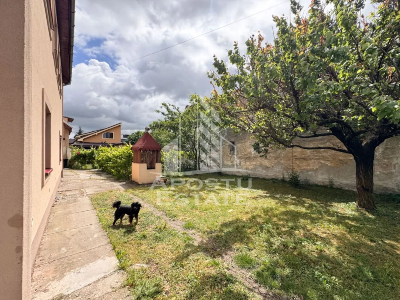 Comision 0%! Casa cu 8 camere, teren 648mp, zona Fratelia, Timisoara - Agentie imobiliara, APOSTU ESTATE va propune spre vanzare, in Reprezentare Exclusiva si comision 0% pentru cumparator, o casa individuala aflata in cartierul Fratelia, pe strada Berzei, din Timisoara.

Terenul total este de 648mp, cu un front stradal de 18ml.

Casa este dispusa pe 2 niveluri, P+E si are o suprafata utila de aproximativ 200mp, compartimentata astfel:
Parter:
- 3 camere (din care 1 sufragerie open-space cu bucatarie)
- 1 baie cu geam
- 1 hol de acces

Extindere parter:
- 1 camera
- 1 baie cu geam
- 1 bucatarie
- 1 camara
- 1 spatiu de depozitare

Etaj:
- 3 camere
- 2 bai cu geam
- 1 bucatarie
- 1 camara
- 1 balcon
- 1 terasa

In curte este si o anexa de aproximativ 50mp, compartimentata astfel:
- 1 garaj
- 1 birou la mansarda anexei
- 1 spatiu de depozitare, facut din lemn, de aproximativ 10mp

Confortul termic este asigurat prin interemediul celor 2 centrale termice proprii si este sustinut de izolatia exterioara.

Proprietatea are acces la etaj, prin scara interioara, cat si prin exterior, astfel proprietatea poate fi folosita pentru 2 familii.

Avand in vedere suprafata mare utila, destinatia proprietatii poate fi schimbata pentru locatie afterschool sau gradinita, spatiu de birouri etc.

Oferim consultanta gratuita cu privire la accesarea creditelor bancare pentru achizitii imobiliare.

Nu ezitati sa ne contactati pentru stabilirea unei vizionari au alte detalii suplimentare.

ID intern: CP3120868