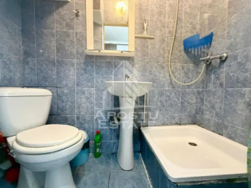 Garsoniera de vanzare, zona Lipovei, Timisoara