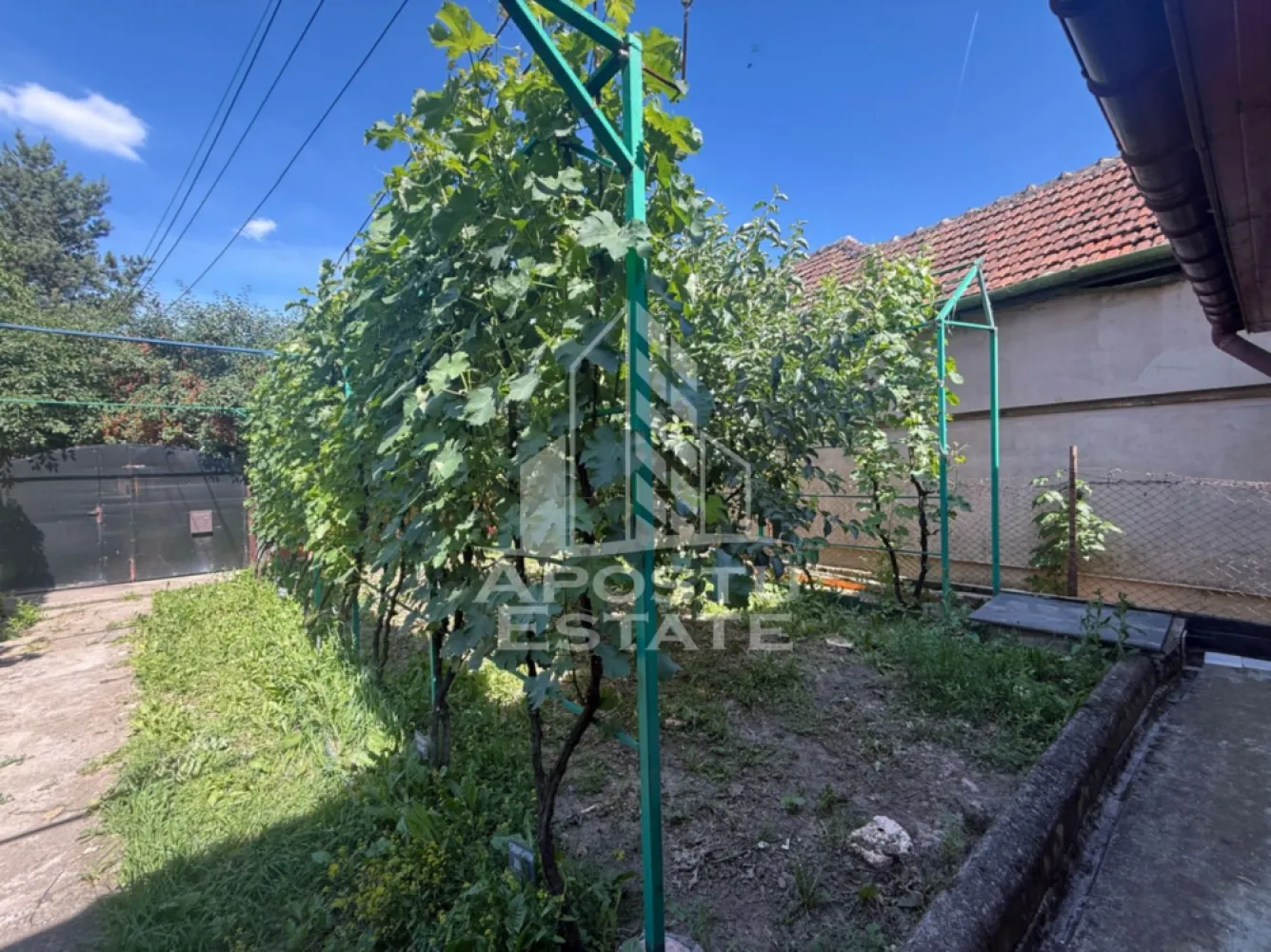 Casa individuala cu teren de vanzare, zona Plopi Timisoara - Agentia imobiliara APOSTU ESTATE va propune spre vanzare o casa individuala situata in zona Plopi din Timisoara, judetul Timis. 
Terenul aferent proprietatii este de 421 mp, cu un front stradal de aproximativ 15 m. 
Constructia a fost realizata etapizat, fiind construita atat din caramida veche, caramida Porotherm, boltari de beton si BCA. 
Suprafata utila a constructiei este de aproximativ 200mp (dintre care intabulati 35mp, pentru diferenta exista proiect si va fi predat noului proprietar). 
Curtea libera este amenajata cu spatii verzi si vegetatie matura. 

Va asteptam cu drag la o vizionare!