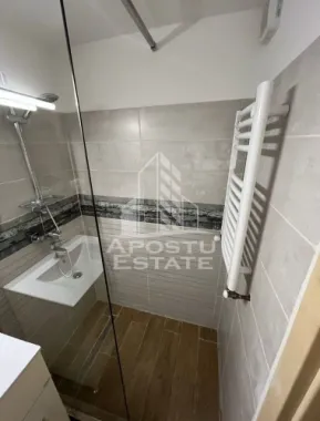 Apartament cu o camera, la parter, in Piata Uniri, in Timisoara