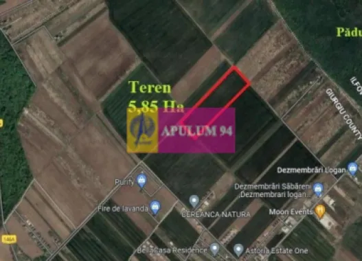 Logo Apulum94 logo