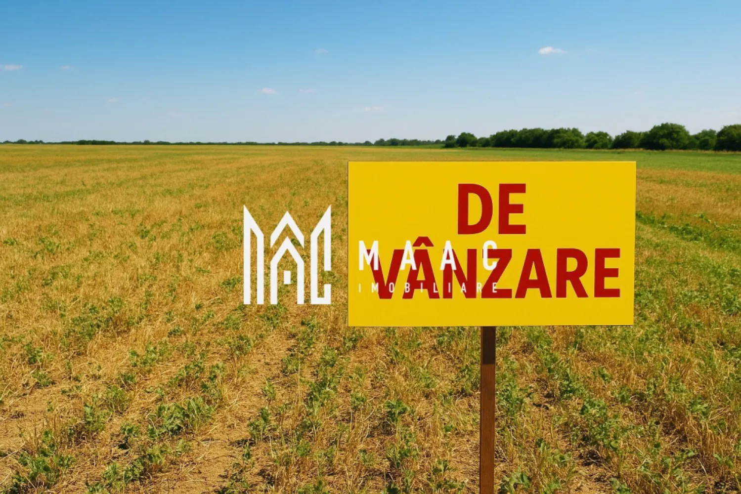 Teren | Extravilan | 2.269 MP | Daia - MAAC Imobiliare vă propune spre vânzare un teren extravilan agricol cu o suprafață de 2269 mp, situat într-o zonă liniștită, în apropierea drumului județean DJ 106.

Terenul este ideal pentru activități agricole sau ca investiție pe termen lung, beneficiind de acces facil la drumurile principale și de o poziționare avantajoasă față de localitate.

Pentru mai multe informații și detalii suplimentare, nu ezitați să ne contactați, specificând ID-ul proprietății: CP280180.