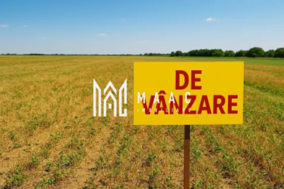 Teren | Extravilan | 2.269 MP | Daia