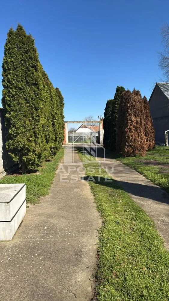 Teren intravilan in Dinias, 996mp, gard de beton si poarta noua - Apostu Estate va propune spre vanzare un teren in localitatea Dinias, la aproximativ 20 km de Timisoara.
Frontul stradal 13m
Terenul este imprejumuit cu gard de beton pe 3 laturi. 
Beneficiaza totodata de fantana in curte, poarta noua, utilitati la poarta: apa, curent, canalizare, internet+tv.

Va invitam cu drag la o vizionare sa descoperiti avantajele acestui teren

Id intern: 2437681