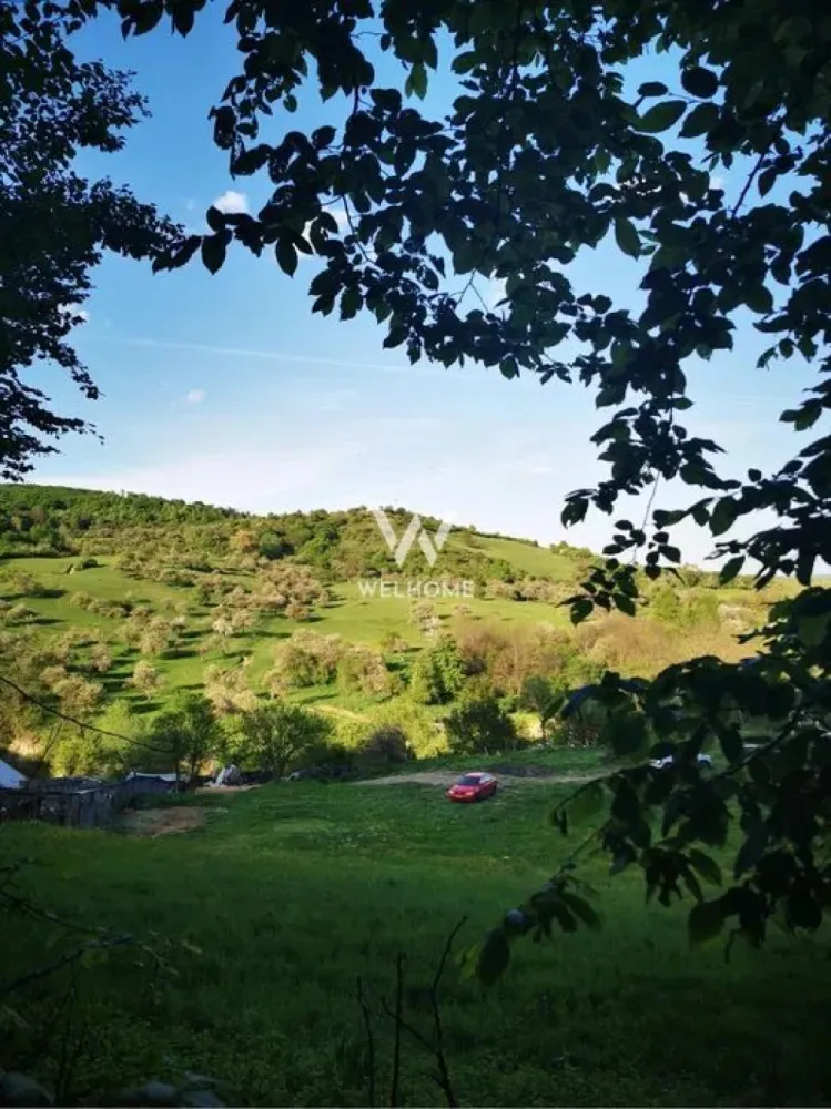 Teren cu cabane A-Frame și priveliște către Munții Făgăraș - Se vinde teren intravilan de 5.129 mp, situat la ieșirea din Bradu, într-o zonă retrasă și liniștită, cu priveliște spectaculoasă spre Munții Făgăraș și pădure în spate. Acces facil, aproape de drum, fără trafic sau zgomot.

Pe proprietate se află:

2 cabane tip A-Frame (22 mp parter + 11 mp dormitor în mansardă)

băile neamenajate

parchet din lemn masiv disponibil

filigorie de aprox. 75 mp, complet echipată (grătar, chiuvetă, mese, bănci)

Utilități: apă pe teren, curent trifazic tras până la cabane (necesită panou), gaz în apropiere.

Terenul este ideal pentru investiție turistică, retreat-uri sau casă de vacanță, având potențial excelent de extindere (cabane, ciubăr, saună).
O proprietate specială, pentru cei care caută liniște, natură și acces rapid către Sibiu, Păltiniș, Valea Avrigului și atracțiile din zonă.
Detalii și vizionări: 0743030351