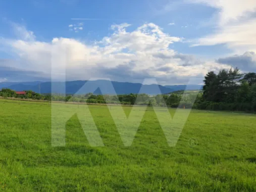 Teren intravilan, 1450 mp de vânzare în Cisnadie, zona Soma -Investiție ideală!