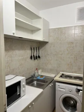 Cismigiu, Sala Palatului