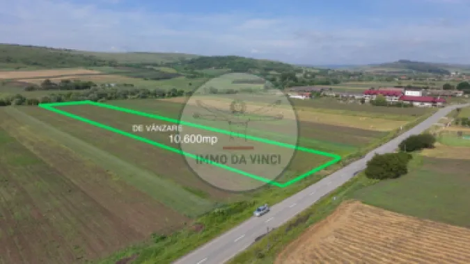 Teren 10.670 mp | Borșa Cluj | Front 38m | Utilități