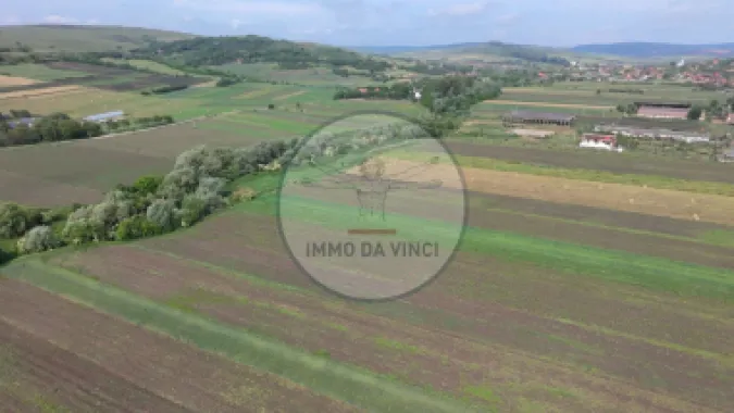 Teren 10.670 mp | Borșa Cluj | Front 38m | Utilități