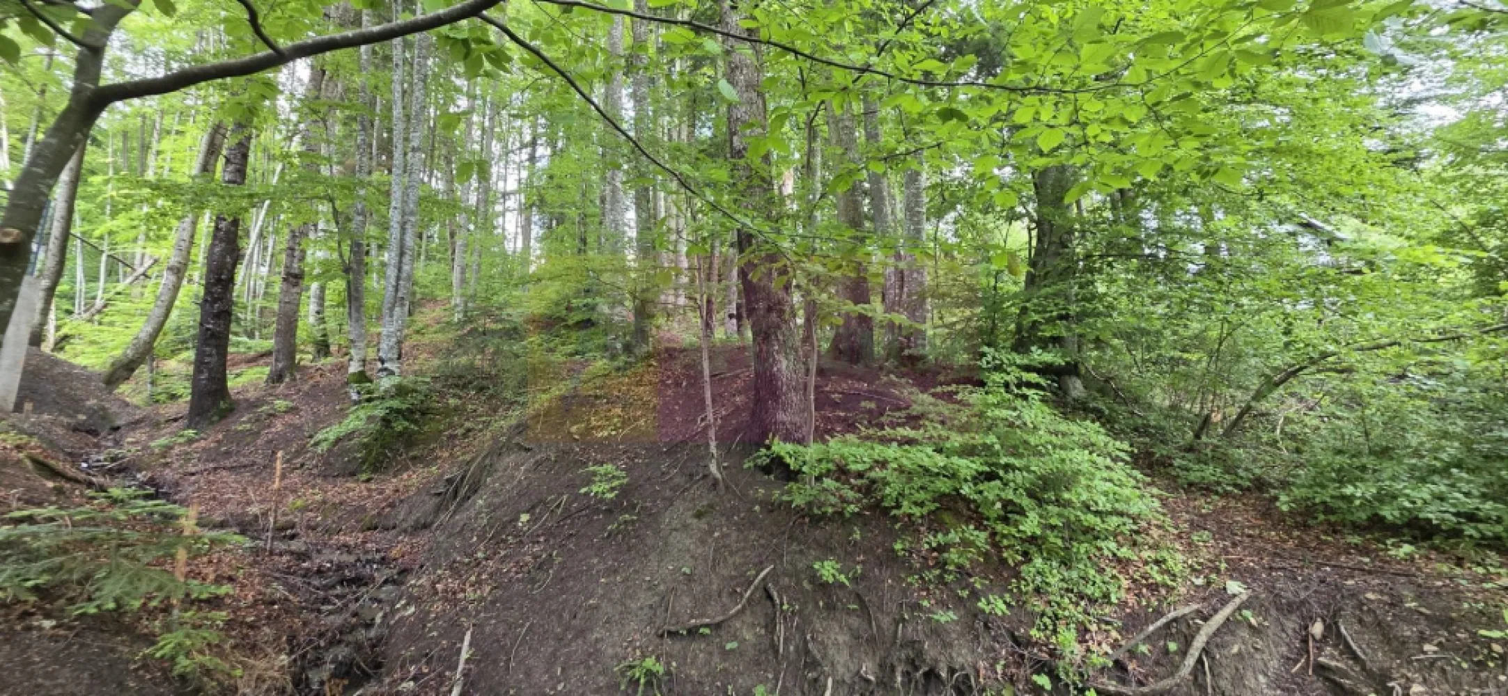 Teren intravilan 720 mp Sinaia - Teren intravilan de vânzare – Sinaia, zona Tirul cu Porumbei

Agenția Imobiliară Mervani vă propune spre vânzare un teren intravilan cu suprafața de 720 mp, situat în una dintre cele mai apreciate zone rezidențiale ale stațiunii Sinaia – Tirul cu Porumbei, în apropierea cartierului Furnica și la doar câteva minute de centrul orașului.

Terenul este încadrat în categoria de folosință pădure, beneficiind de un cadru natural deosebit, liniște și aer curat. Zona este caracterizată de vile de vacanță și proprietăți rezidențiale de calitate, fiind ideală pentru construirea unei case de vacanță, a unei vile familiale sau a unei investiții turistice.

Avantaje ale proprietății:

Suprafață: 720 mp;
Teren intravilan;
Zonă exclusivistă și liniștită;
Aproape de centrul stațiunii Sinaia;
Vecinătăți formate din vile de vacanță și locuințe permanente;
Acces facil către principalele puncte de interes ale stațiunii;
Cadru natural spectaculos, specific zonei montane Sinaia.

Sinaia este una dintre cele mai căutate destinații turistice și rezidențiale din România, iar amplasamentul acestui teren oferă un excelent potențial atât pentru uz personal, cât și pentru investiție.

Preț și informații suplimentare:
Agenția Imobiliară Mervani
Telefon: 0729 935 536