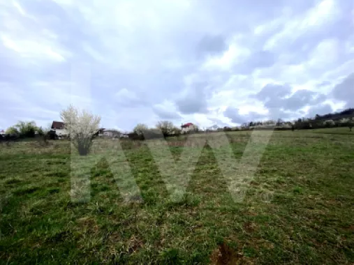 Logo Keller Williams Sibiu logo