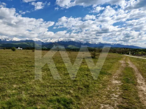 Teren 21.573mp, front 516m, view munte. Utilități în zonă. Hai la vizionare!