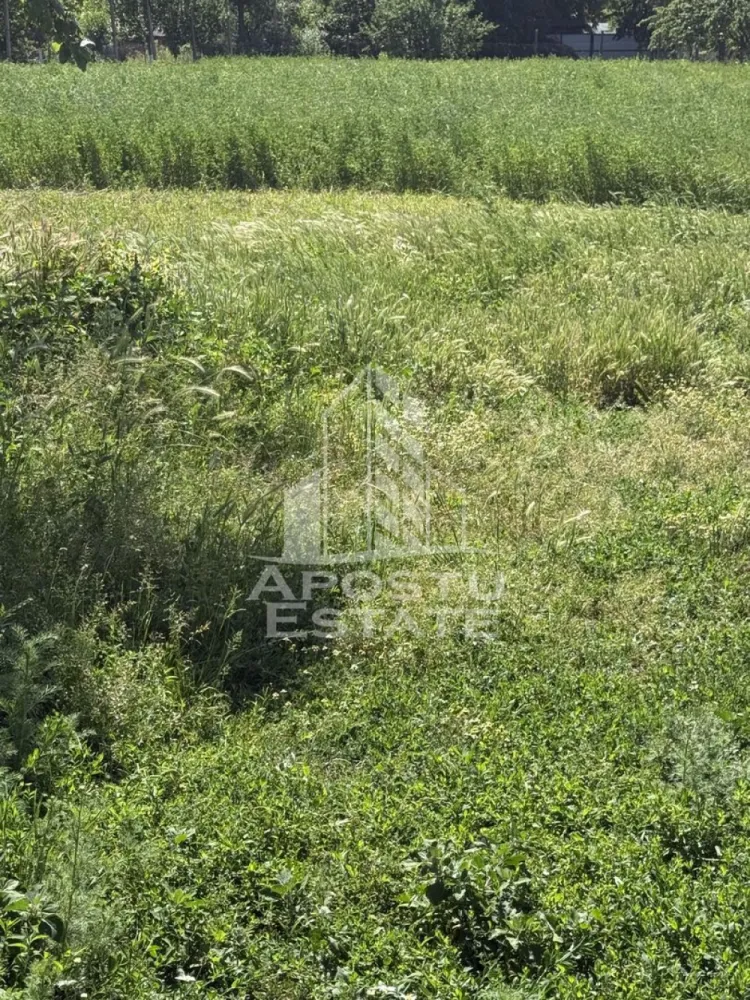 Casă veche în Bazos cu teren 1439 mp - Apostu Estate va oferă spre vânzare casa veche din vaiuga necesită reabilitare totală sau demolare cu teren generos de 1439 mp .
Front stradal de 22 ml.
Utilității;apa,curent 
Poziție bună ,între case în vatra satului ,asfalt ,iluminat stradal.
Curte împrejurmuita cu gard ,posibilitatea de a intra în curte cu mașina .
 La câteva minute de magazin alimentar,stație de autobuz .
Nu se poate achiziționa cu credit bancar!pentru mai multe informații vă rugăm să ne contactați telefonic.
Vă așteptăm cu drag la o vizionare!