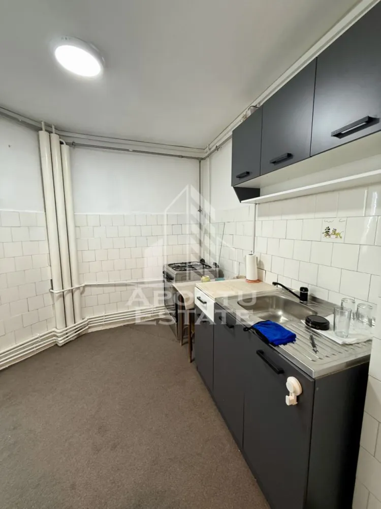 Apartament 3 camere, pet-friendly, de inchiriat, Dambovita, Timisoara