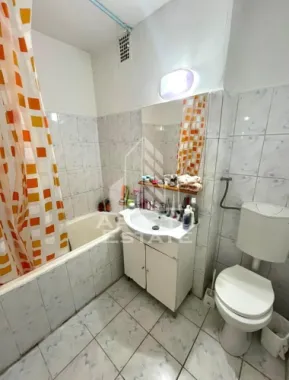 Apartament cu 1 camera de inchiriat, zona Take Ionescu, Timisoara