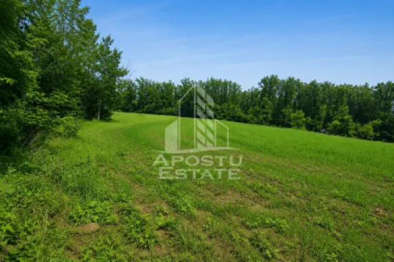 Logo Apostu Estate logo