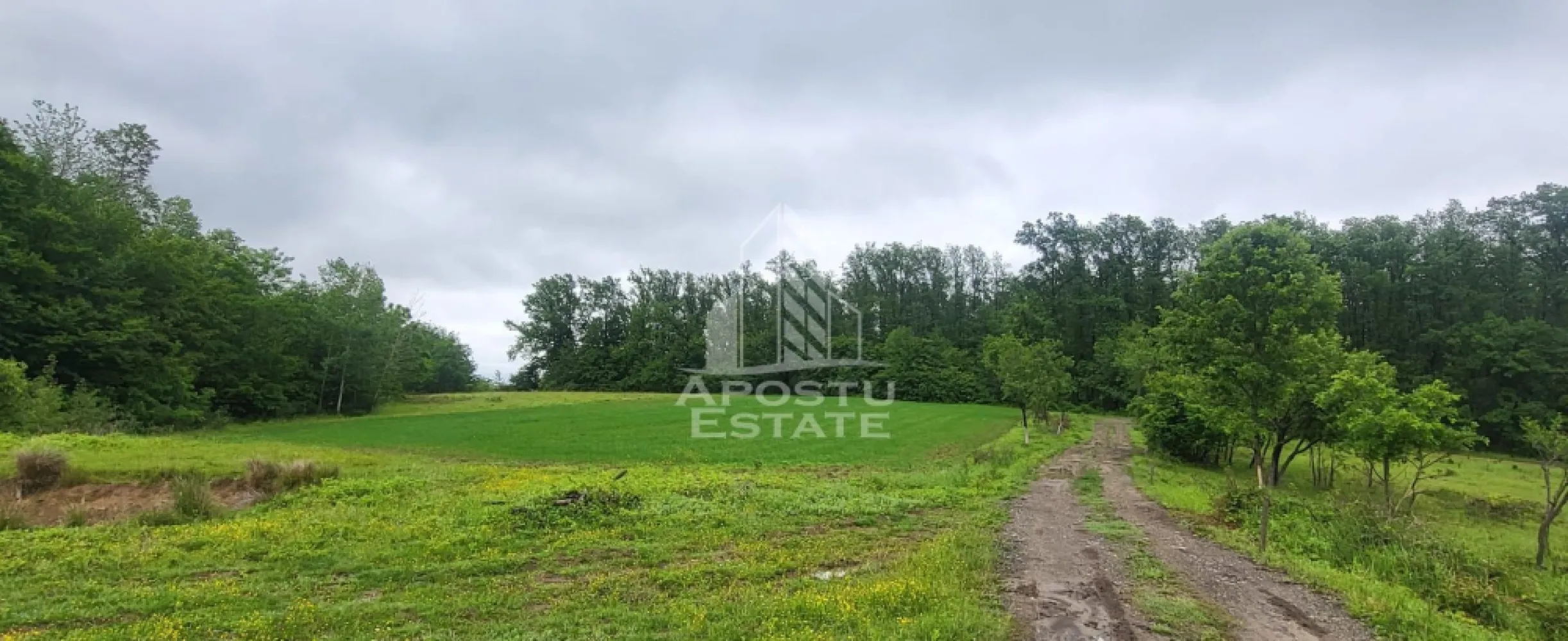 Teren agricol si pasune de 5300+3300 mp, Cuied - Apostu Estate va propune spre vanzare un teren plat cu acces direct din sosea, amplasat intr-o zona linistita, inconjurata de natura, cu multiple posibilitati de dezvoltare si eligibil pentru accesarea fondurilor europene.
Acces facil direct din soseaua principala, pe asfalt.
Se accepta si plata in rate direct de la proprietar.

Fie ca va doriti un proiect turistic, o investitie pe termen lung sau un refugiu in natura, aceasta proprietate ofera cadrul ideal pentru transformarea ideilor in realitate.

De ce merita sa il vezi:

Suprafata totala: 8.600 mp
5.300 mp teren arabil
3.300 mp pasune impadurita
Teren complet plat – usor de amenajat pentru diferite activitati
Acces rapid si facil direct din soseaua principala
Panza freatica ridicata – avantaj pentru proiecte precum piscina, balta de pescuit sau microferma
Zona apreciata pentru apicultura datorita padurilor de salcam
Priveliste deschisa, aer curat si multa liniste

Potential de dezvoltare:
 Camping sau glamping
 Pescarie recreativa
 Livada sau plantatie
 Ferma de mici dimensiuni
 Proiect finantabil prin fonduri europene
 Spatiu dedicat relaxarii sau retragerii din agitatia urbana

Nu cumperi doar teren. Cumperi spatiu, acces, natura si posibilitatea de a construi ceva cu adevarat valoros.

Programeaza o vizionare si descopera un loc cu potential, unde investitia si natura pot merge mana in mana.

Apostu Estate – transformam oportunitatile in investitii.

 Ofetra ID 3156352