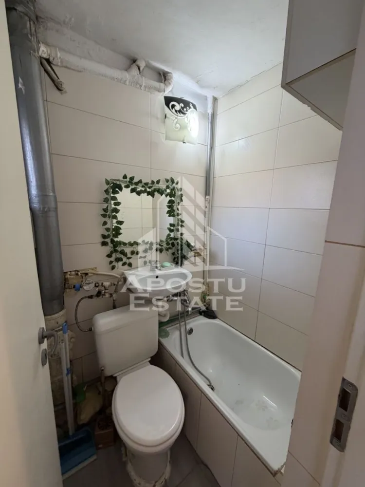 Garsonieră, renovată , 25 mp, Pet Friendly , Cetatii - APOSTU ESTATE vă propune spre închiriere o garsonieră , situata într-o zonă liniștită și bine conectată din Cetății , ideal pentru cupluri sau persoane care doresc un spațiu confortabil.

Suprafață utilă: 25 mp
Compartimentare eficientă:
Bucătărie complet mobilată și utilată, cu loc de luat masa
Dormitor matrimonial mobilat
Baie principală cu duș și geam pentru ventilație naturală

Confort și facilități 
Parcare cu multe locuri de parcare 
Apartamentul este complet mobilat și utilat
Aragaz și plită electrice 

Localizare: Zona Cetatii -liniște, acces facil spre oraș, în apropiere de magazine, școli și mijloace de transport în comun.

Ideal pentru:
Familii
Cupluri
Persoane singure 
Profesioniști care lucrează remote sau au nevoie de birou acasă

Preț chirie: 250 E
Programează o vizionare!