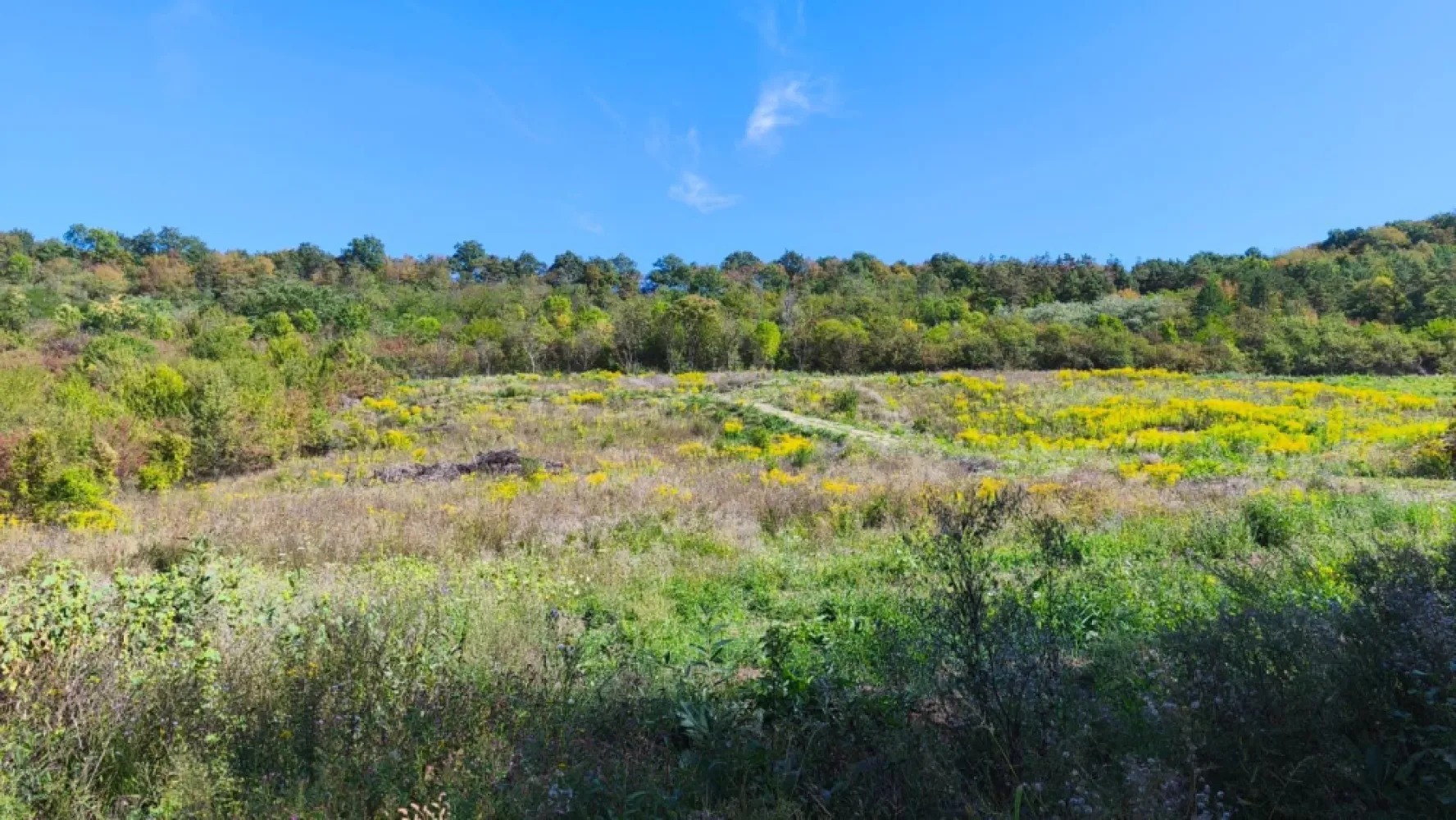 Corunca - 650 mp cu PUZ - zona superba si linistita - Oportunitate de investiție sau construcție într-o zonă în plină dezvoltare!
ID proprietate CP2720919
Contact ⓪⑦②⑥ ②②③ ⑧⑧⑥ Sebastian
▶ Detalii imobil:

● Suprafață totală: 650 mp - Strada Pasareni
● Categoria de folosință: arabil (intravilan) si detine PUZ
● Localizare: Comuna Corunca, jud. Mureș
● Acces: terenul beneficiază de cotă de 67/605 mp din drumul de acces 
● Formă regulată cu laturi de aprox.: 26.111 m – 24.897 m – 26.111 m – 24.897m (conform plan cadastral)
● Servitute de trecere înscrisă asupra parcelei vecine, asigurând acces facil.
● Proprietari: persoana fizica
● Fără sarcini înscrise în cartea funciară.

▶ Terenul este potrivit pentru construcția unei locuințe individuale sau pentru investiție pe termen lung.

📞 Pentru detalii suplimentare și vizionare, vă rugăm să ne contactați. Contact ⓪⑦②⑥ ②②③ ⑧⑧⑥ Sebastian