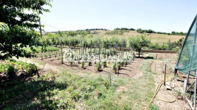 Teren intravilan 1.300 mp.zona Belvedere Targu Mures