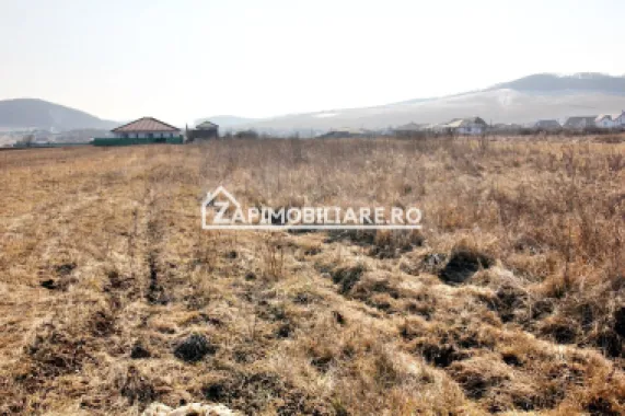 Teren Intravilan 2.075 mp. 59.euro mp.Sangeorgiu de Mures