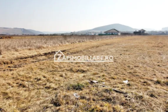 Teren Intravilan 2.075 mp. 59.euro mp.Sangeorgiu de Mures