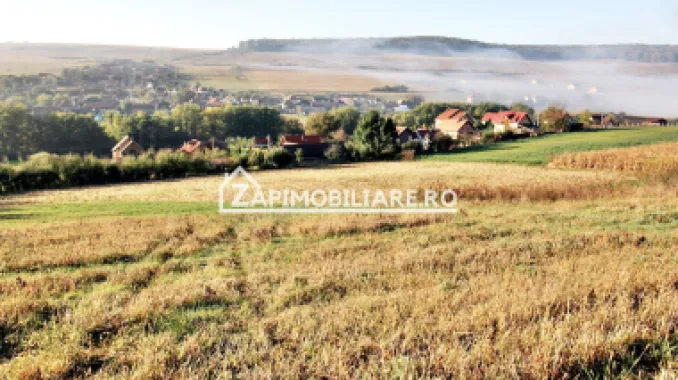 Logo ZAP IMOBILIARE logo