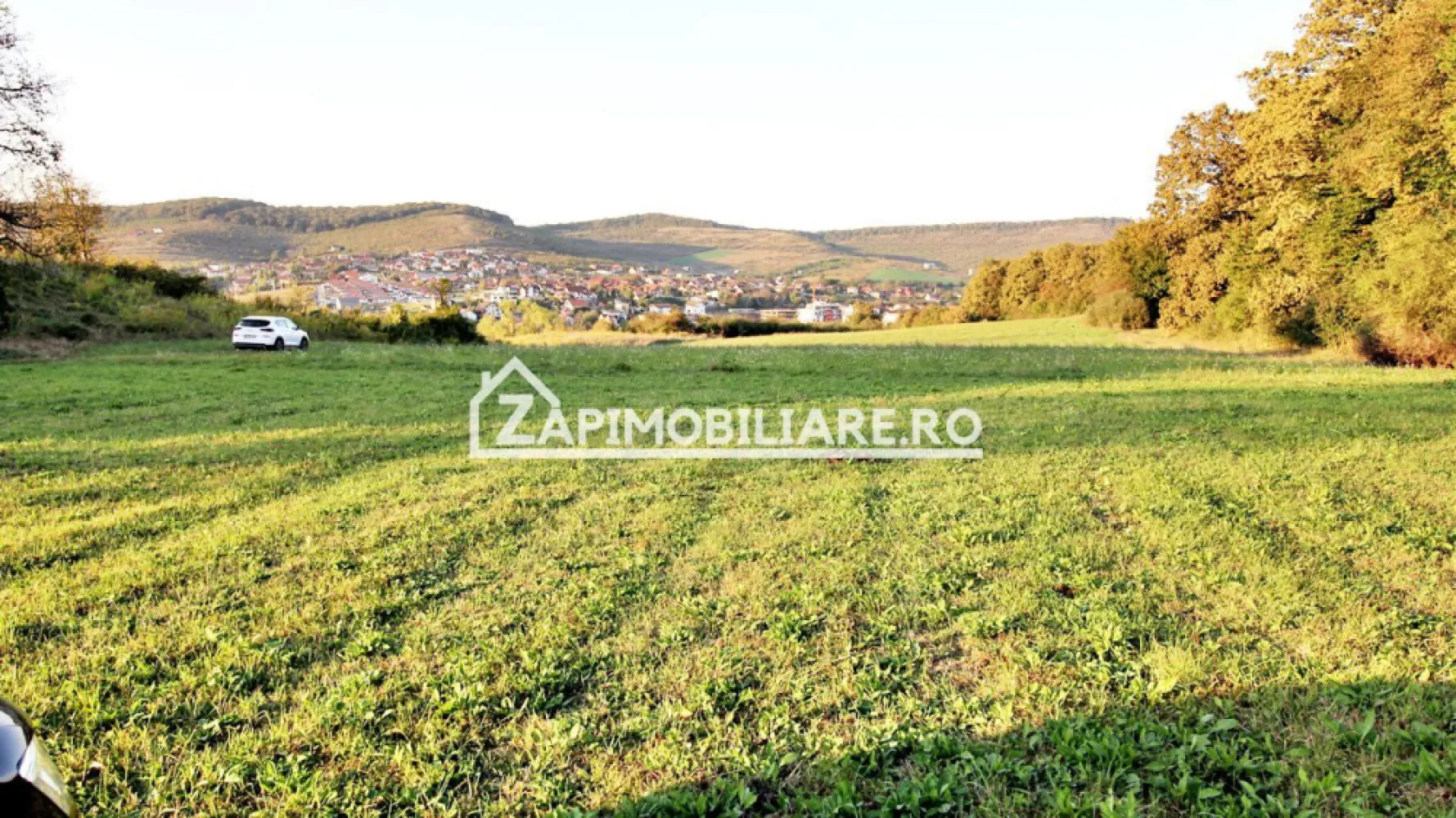 De vanzare 2 terenuri de 29.500 mp si 1.400 mp.29 euro mp - Vă oferim spre vânzare 2 parcele de teren in Livezeni cu suprafața de 29.500 si 1.400 mp. situat în Livezeni 
Contact 0774048706 Bogdan

Cei interesați pot achiziționa terenul de 29.500 mp la prețul de 863.000 EURO 29 euro mp negociabil comision ZERO.
Terenul de 1.450 mp. este situat in Ivănesti si se vinde la pretul de 50.500 euro 35.euro mp.negociabil comision zero
Dacă vă place această ofertă - sau pentru alte informații sunați la numărul de contact din anunț! 0774048706 Bogdan
Compania Zap Imobiliare vă pune la dispoziție toate informațiile, actele și documentele necesare alături de asistență și consiliere permanentă până la finalizarea achiziției imobiliare. Ne dorim să îți oferim cea mai plăcută experiență.