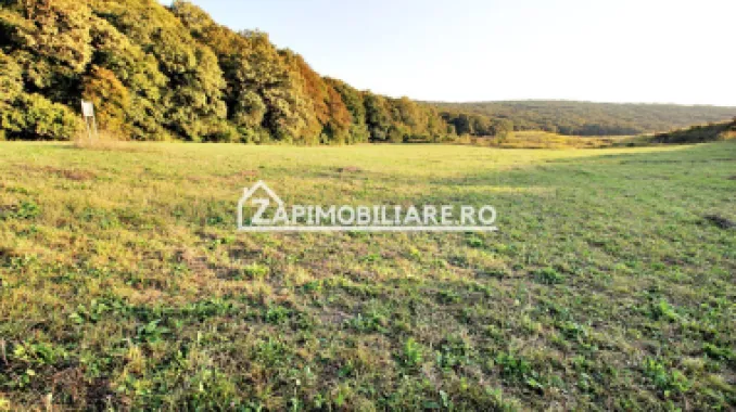De vanzare 2 terenuri de 29.500 mp si 1.400 mp.29 euro mp