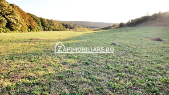 De vanzare 2 terenuri de 29.500 mp si 1.400 mp.29 euro mp