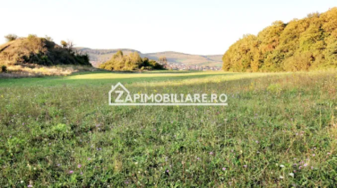De vanzare 2 terenuri de 29.500 mp si 1.400 mp.29 euro mp