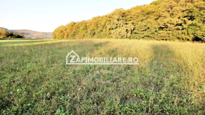 De vanzare 2 terenuri de 29.500 mp si 1.400 mp.29 euro mp