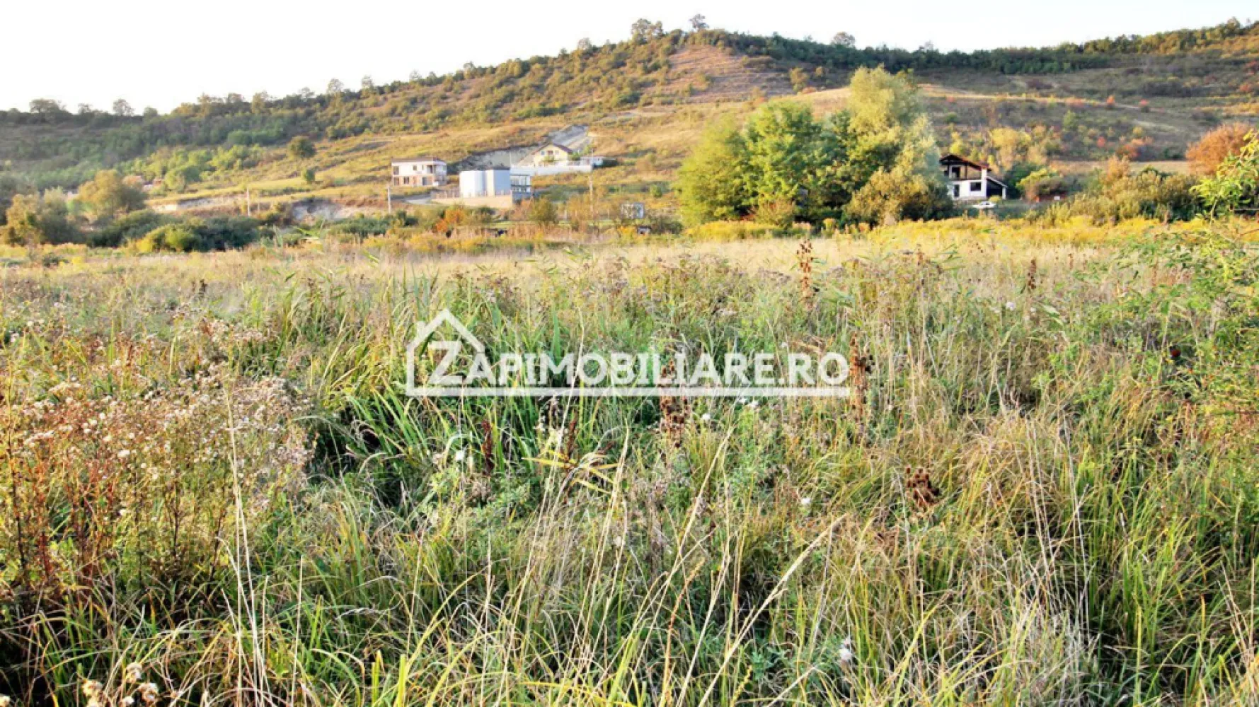 De vanzare 2 terenuri de 29.500 mp si 1.400 mp.29 euro mp