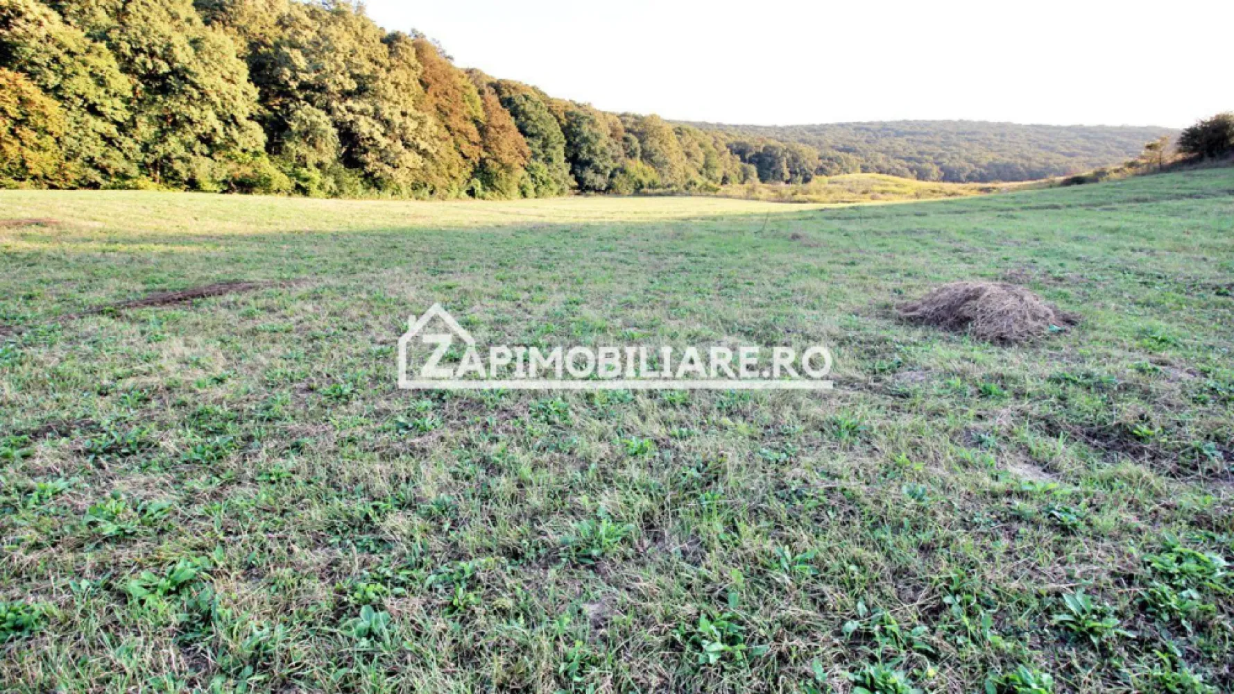 De vanzare 2 terenuri de 29.500 mp si 1.400 mp.29 euro mp