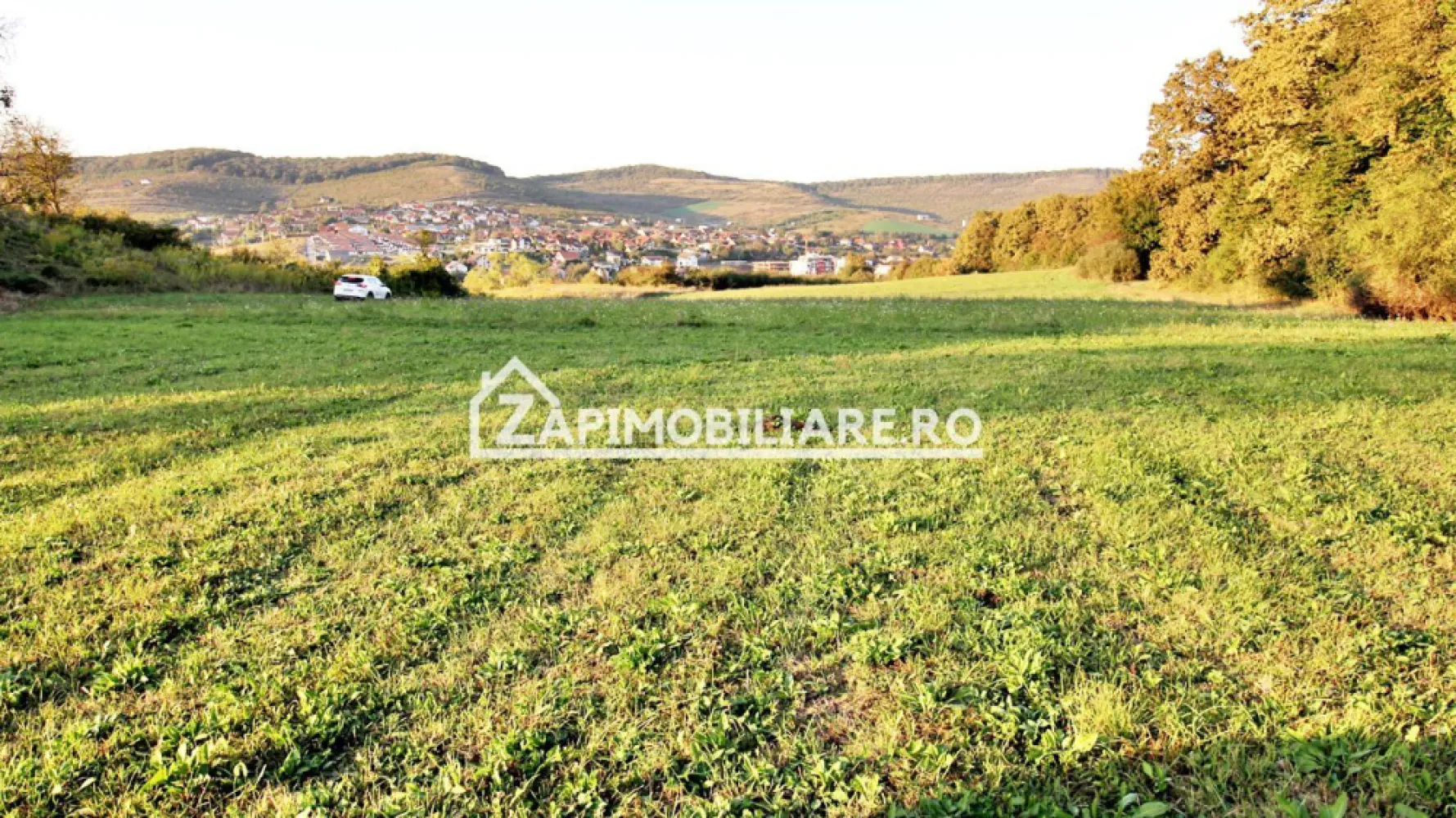 De vanzare 2 terenuri de 29.500 mp si 1.400 mp.29 euro mp