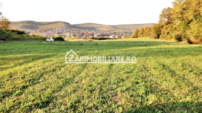 De vanzare 2 terenuri de 29.500 mp si 1.400 mp.29 euro mp