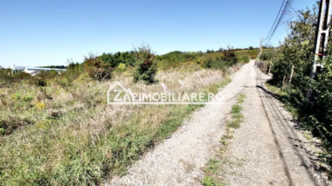 Teren intravilan 16.500mp 55euro mp deschidere de 82m la E60
