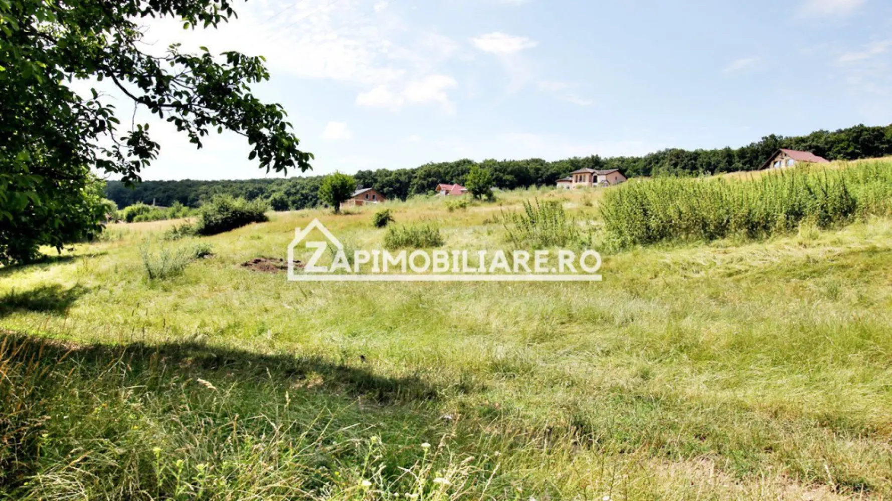 Teren 9.600 mp.17 euro mp deschidere la drum 200 m. - De vănzare 9.600 mp.teren in Herghelia cu deschidere la drum de 200 m 
- apa si curentul langa teren
Contact 0774048706 Bogdan
Terenul.se vinde la prețul de 17 euro mp negociabil Comisionul este ZERO!
Contact 0774048706 Bogdan
Dacă vă place această ofertă - sau pentru alte informații sunați la numărul de contact din anunț! 0774048706 Bogdan
Compania Zap Imobiliare vă pune la dispoziție toate informațiile, actele și documentele necesare alături de asistență și consiliere permanentă până la finalizarea achiziției imobiliare