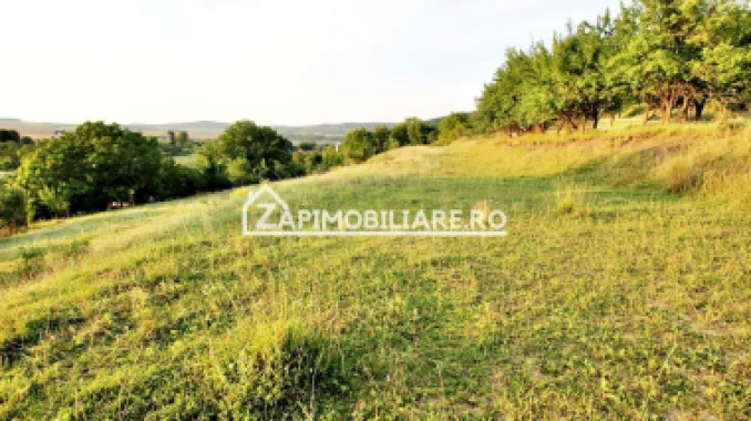 Logo ZAP IMOBILIARE logo