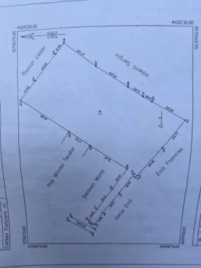 Teren Intravilan,5.000mp cu utilităti si proiect casă 12e mp